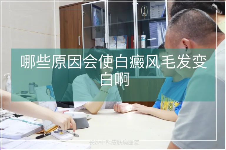 哪些原因会使白癜风毛发变白啊